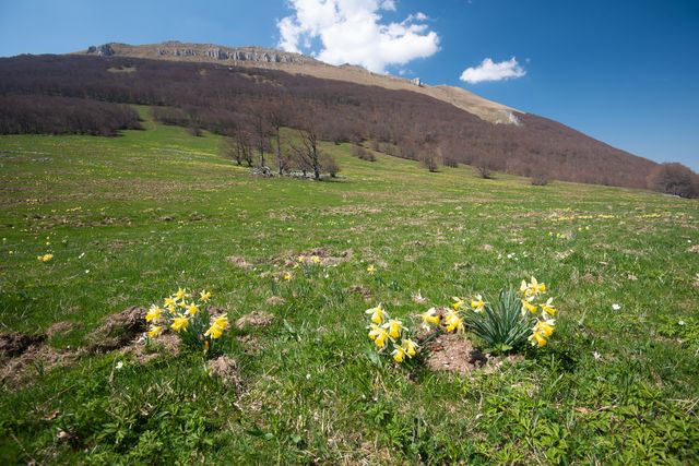 Le printemps arrive ...